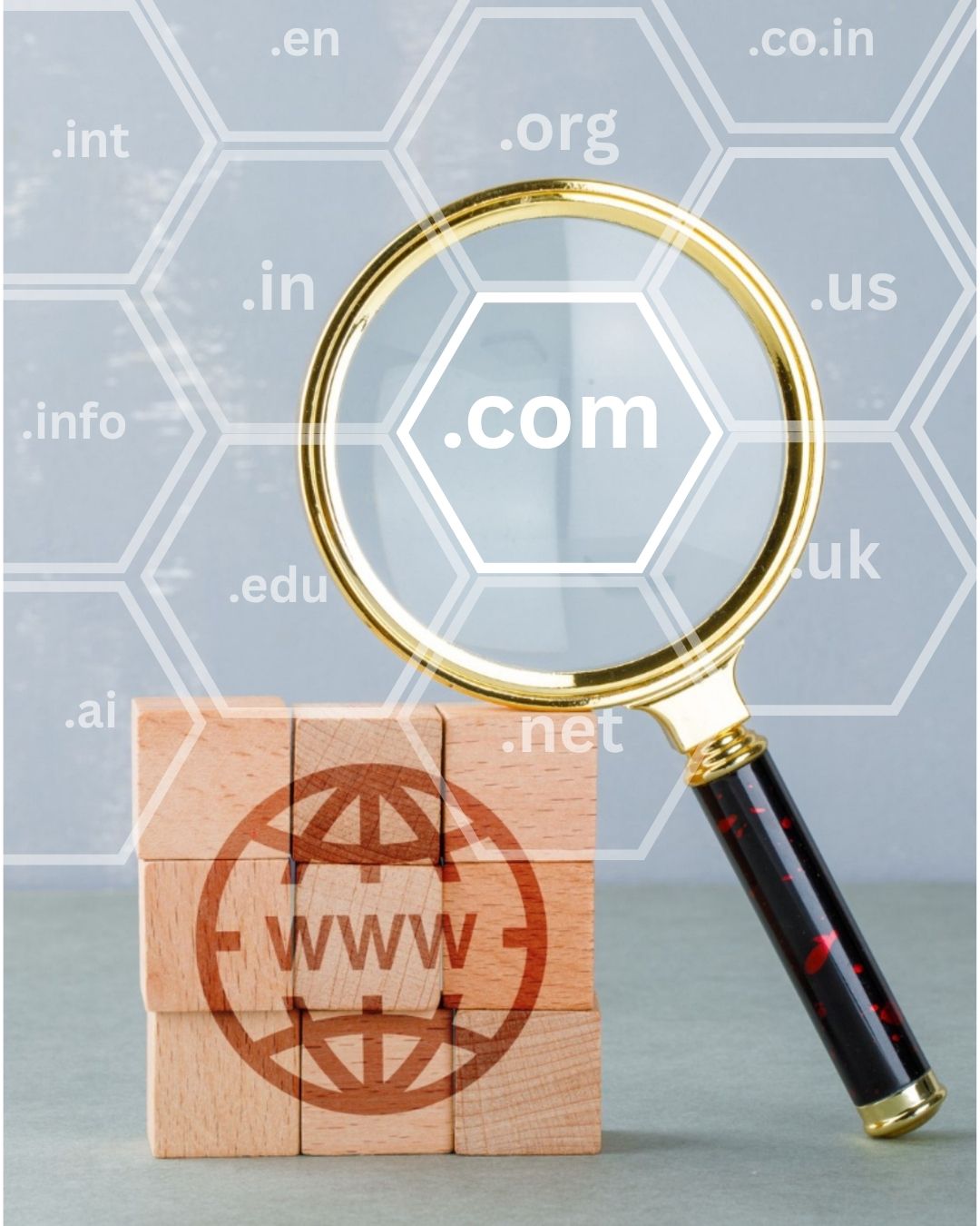 Domain Registration Infrastructure